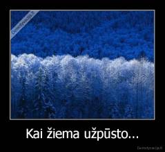 Kai žiema užpūsto... - 