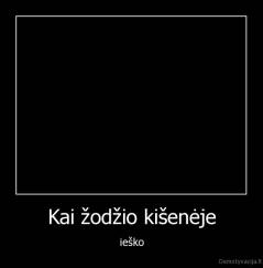 Kai žodžio kišenėje - ieško