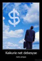 Kaikurie net debesyse - mato pinigus