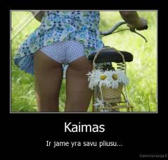 Kaimas - Ir jame yra savu pliusu...