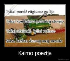Kaimo poezija - 