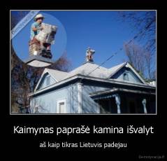 Kaimynas paprašė kamina išvalyt - aš kaip tikras Lietuvis padejau