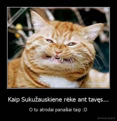 Kaip Sukužauskiene rėke ant tavęs... - O tu atrodai panašiai taip :D