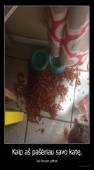 Kaip aš pašėriau savo katę, - kai buvau girtas