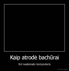 Kaip atrodė bachūrai - Kol neatsirado kompiuteris