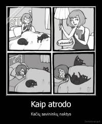 Kaip atrodo - Kačių savininkų naktys