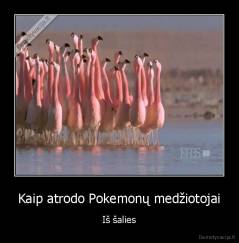 Kaip atrodo Pokemonų medžiotojai - Iš šalies
