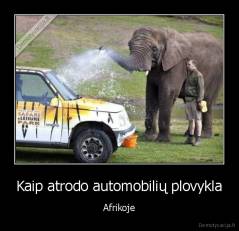 Kaip atrodo automobilių plovykla - Afrikoje