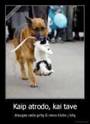 Kaip atrodo, kai tave - draugas veda girtą iš vieno klubo į kitą