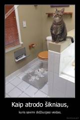 Kaip atrodo šikniaus, - kuris savimi didžiuojasi veidas.