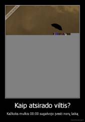 Kaip atsirado viltis? - Kažkoks mulkis 00:00 sugalvojo įvesti norų laiką