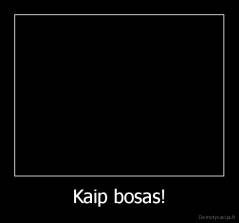 Kaip bosas! - 