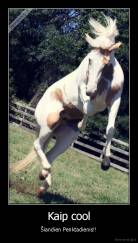 Kaip cool - Šiandien Penktadienis!!