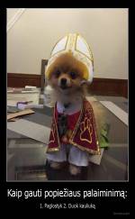 Kaip gauti popiežiaus palaiminimą: - 1. Paglostyk 2. Duok kauliuką