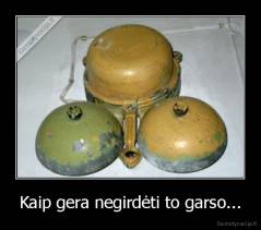 Kaip gera negirdėti to garso... - 