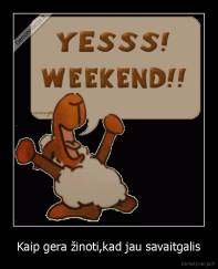 Kaip gera žinoti,kad jau savaitgalis - 