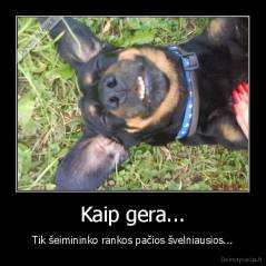 Kaip gera... - Tik šeimininko rankos pačios švelniausios...