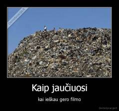 Kaip jaučiuosi - kai ieškau gero filmo