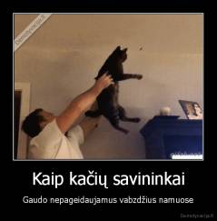 Kaip kačių savininkai - Gaudo nepageidaujamus vabzdžius namuose