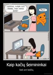 Kaip kačių šeimininkai - Sėdi ant kėdžių