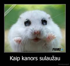 Kaip kanors sulaužau - 