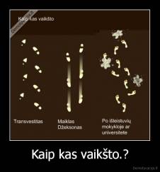 Kaip kas vaikšto.? - 