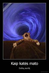 Kaip katės mato - Dulkių siurblį