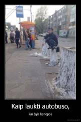 Kaip laukti autobuso, - kai šąla kanopos
