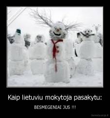 Kaip lietuviu mokytoja pasakytu: - BESMEGENIAI JUS !!!
