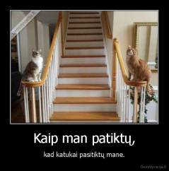 Kaip man patiktų, - kad katukai pasitiktų mane.