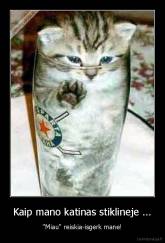 Kaip mano katinas stiklineje ... - "Miau'' reiskia-isgerk mane!