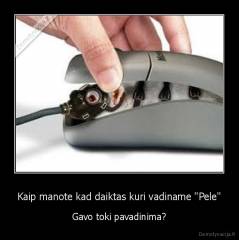 Kaip manote kad daiktas kuri vadiname "Pele" - Gavo toki pavadinima?