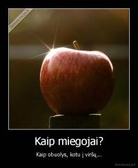 Kaip miegojai? - Kaip obuolys, kotu į viršų...