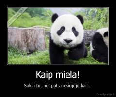 Kaip miela! - Sakai tu, bet pats nesioji jo kaili..