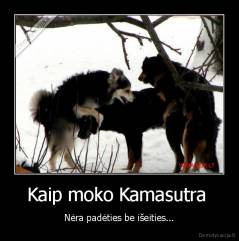 Kaip moko Kamasutra  - Nėra padėties be išeities...