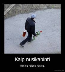 Kaip nusikabinti - viecinę rajono kacicę.