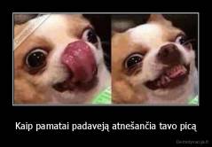 Kaip pamatai padaveją atnešančia tavo picą - 