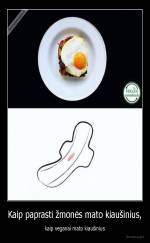 Kaip paprasti žmonės mato kiaušinius, - kaip veganai mato kiaušinius