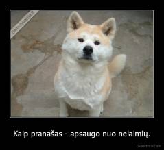 Kaip pranašas - apsaugo nuo nelaimių. - 