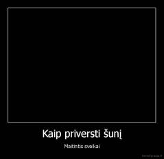 Kaip priversti šunį - Maitintis sveikai