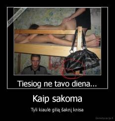 Kaip sakoma - Tyli kiaulė gilią šaknį knisa