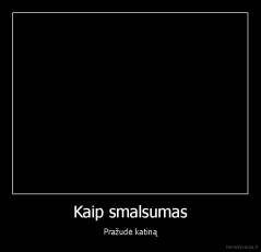 Kaip smalsumas - Pražudė katiną