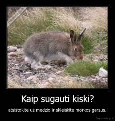 Kaip sugauti kiski? - atsistokite uz medzio ir skleiskite morkos garsus.