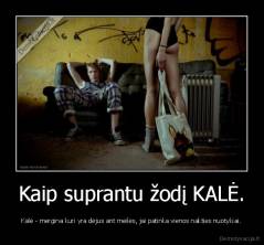 Kaip suprantu žodį KALĖ. - Kalė - mergina kuri yra dėjus ant meilės, jai patinka vienos nakties nuotykiai.