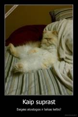 Kaip suprast - Baigėsi atostogos ir laikas keltis?