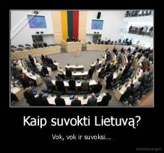 Kaip suvokti Lietuvą? - Vok, vok ir suvoksi...