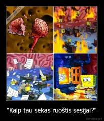 "Kaip tau sekas ruoštis sesijai?" - 