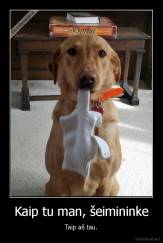 Kaip tu man, šeimininke - Taip aš tau.