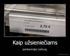 Kaip užsieniečiams - pardavinėja Lietuvą.