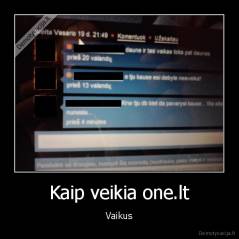 Kaip veikia one.lt - Vaikus